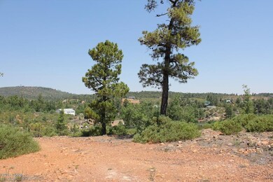 6288 Bull Elk Run, Show Low, AZ 85901 - photo 3