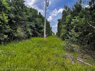 TBD Aes Rd, Spiro, OK 74959 - photo 5
