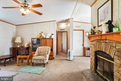 160 Mole Hill Ln, New Market, VA 22844 - photo 5