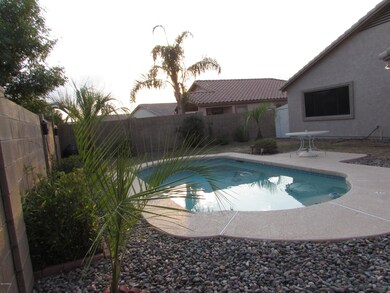 Backyard oasis.