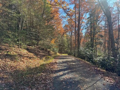 58 Martin Ln, Nallen, WV 26680 - photo 6