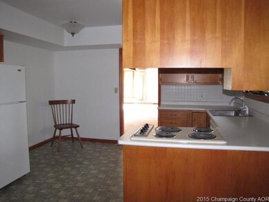 400 N Niles Ave, Tuscola, IL 61953 - photo 3