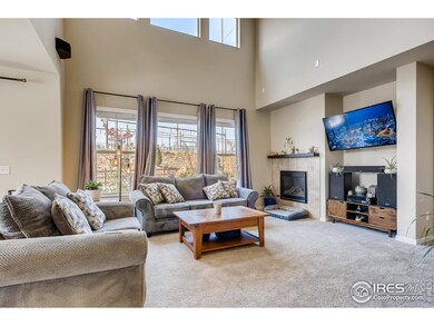 8869 Gore St, Arvada, CO 80007 - photo 7