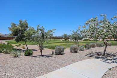 Community Landscape and Open Areas