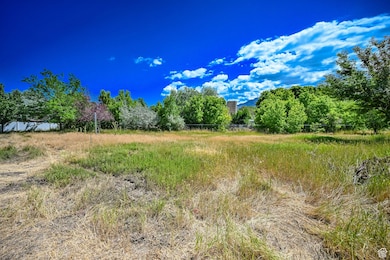 847 E Willow Springs Ln, Draper, UT 84020 - photo 6