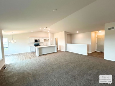 201 Autumnwood Ln, Davis Junction, IL 61020 - photo 6