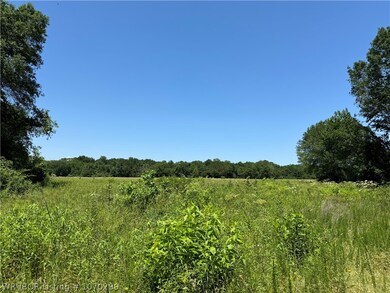 TBD CR 4460 Rd, Albion, OK 74521 - photo 6