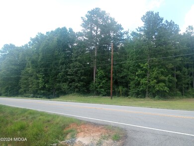 7159 Thomaston Rd, Macon, GA 31220 - photo 3