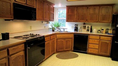 1159 Thompson Creek Rd, Applegate, OR 97530 - photo 4