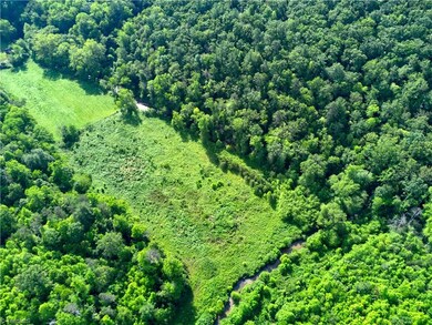 Cleared field near the creek.