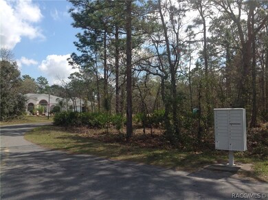 10 Primula Ct E, Homosassa, FL 34446 - photo 4