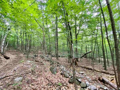 Lot 1 and 6 Grace and Granite Hill Rd, Wilmot, NH 03287 - photo 2
