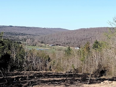 0000 Sunnyland Rd, Mountain View, AR 72560 - photo 2