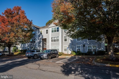 14202 Valleyfield Dr unit 3, Silver Spring, MD 20906 - photo 2