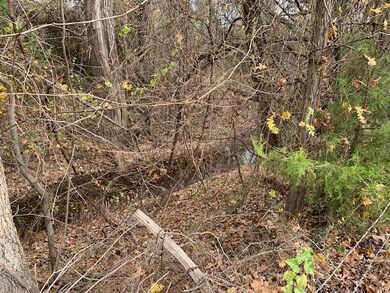 2011 N Lake Dr, Weatherford, TX 76085 - photo 4