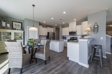 303 Bracken Fern Rd, Moncks Corner, SC 29461 - photo 5