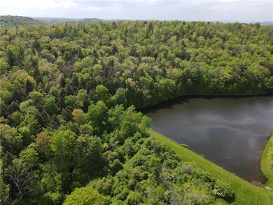 VL Lot 1 Hardscrabble Rd, Addison, NY 14801 - photo 2