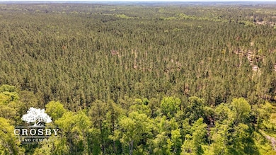 0 Alexander-Munnerlyn Rd, Waynesboro, GA 30830 - photo 2