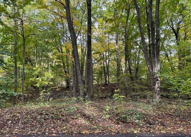 0 College Ave Wooded Parcel