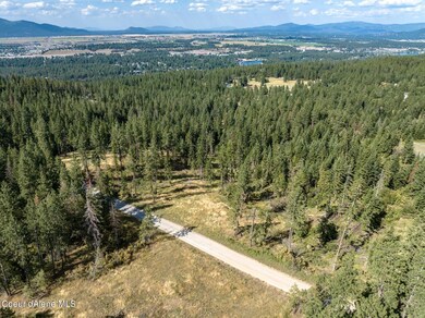 Aerial2