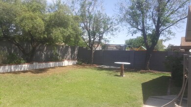 Torrence Back Yard # 1