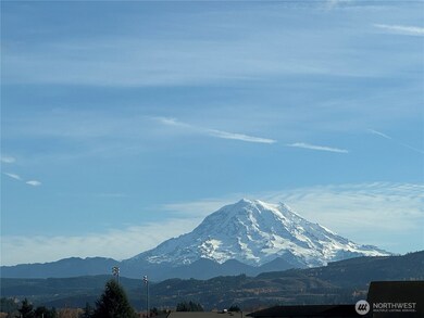 View from Backyard - Mt Ranier