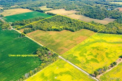 TBB Ayers Rd, Greenville, IL 62246 - photo 3