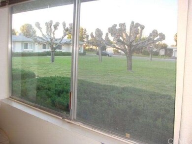 Courtyard View from Living room window.