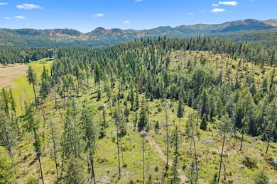 NNA Dry Creek Rd unit Lot 2, Chewelah, WA 99109 - photo 6