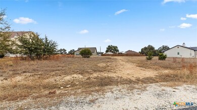 224 Hiram Cook, Blanco, TX 78606 - photo 5