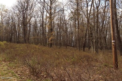 156 Mountain Top Rd, Lackawaxen Township, PA 18435 - photo 4