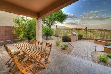 Patio & Fruit Trees