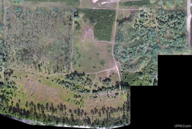 21.33 Acres Butterfield Ln, Pembine T-Wi, WI 54156 - photo 3