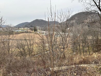 185 Hickory Ln, Lansing, IA 52151 - photo 4