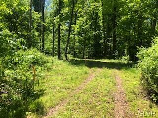 0 Fels Rd unit 668327, Quakertown, PA 18951 - photo 6