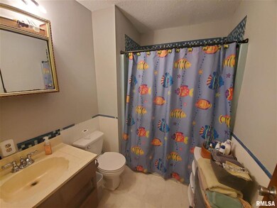 9212 N 1000th Rd, Effingham, IL 62401 - photo 4