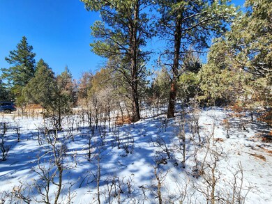 0 Private Drive 1781a, Los Ojos, NM 87551 - photo 4