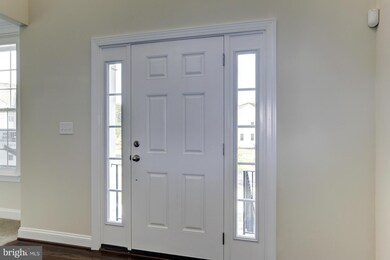 19018 Black Maple Way, Hagerstown, MD 21742 - photo 2