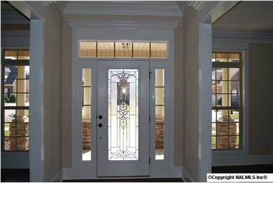 Gorgeous front door entry
