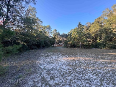 153 Davidson St, Quincy, FL 32351 - photo 5