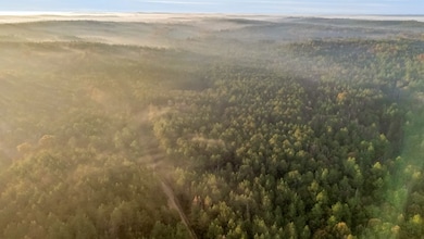 0000 Mount Carmel Rd, Millport, AL 35586 - photo 2