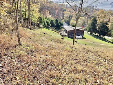 7932 Hurricane Creek Rd, Winfield, WV 25213 - photo 6