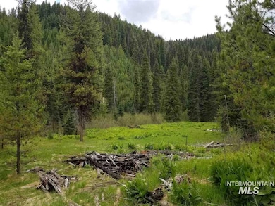 TBD American Eagle Properties Survey 1810 & Survey 188, Elk City, ID 83525 - photo 5