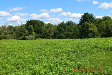 0 Sultan Ln unit 202027264, Schodack, NY 12156 - photo 5