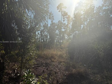 1088/1090 Ainsworth St E, Lehigh Acres, FL 33974 - photo 4