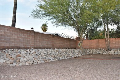 Backyard Continued