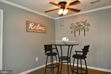 2013 Rudy Serra Dr unit 2C, Sykesville, MD 21784 - photo 5