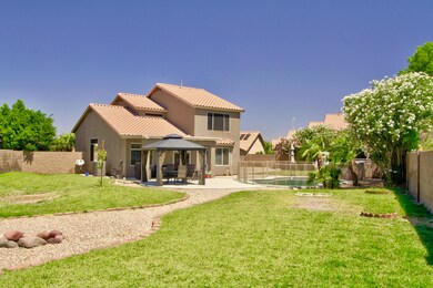Comanche Backyard 2