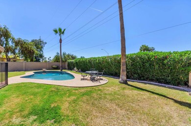 Backyard Pool