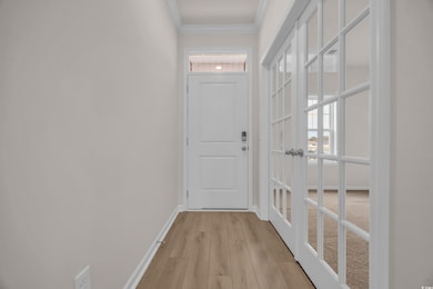 Doorway to outside with ornamental molding, light 